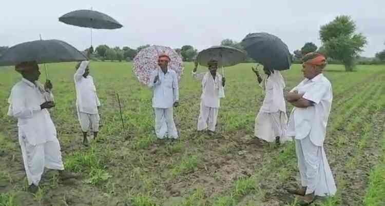 It rains when farmers sing Tejaji songs in Raj; Cambridge to pursue research
