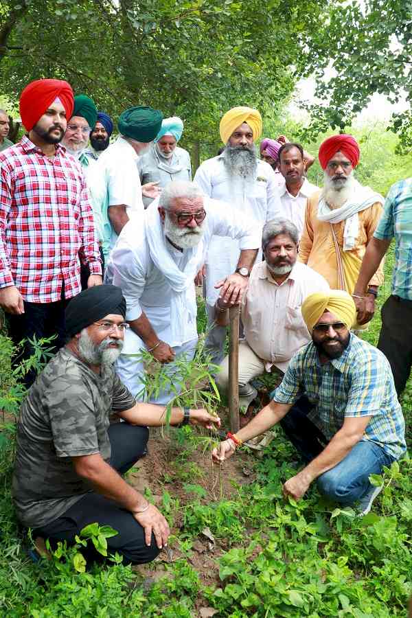 Public Action Committee organise plantation drive at Mattewara Forest