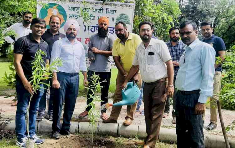 Vanmohatsav celebrated by Forest Department coupled with plantation drive