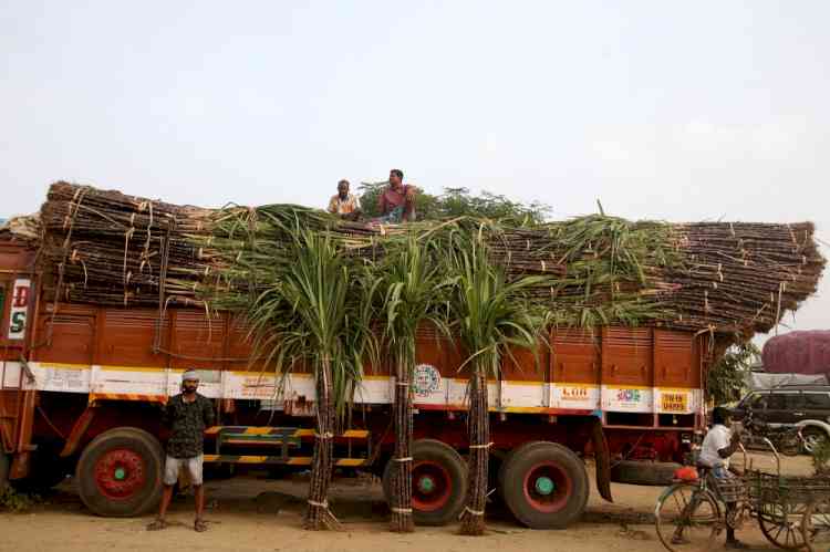 Increase in FRP for sugarcane will help party in UP polls: BJP