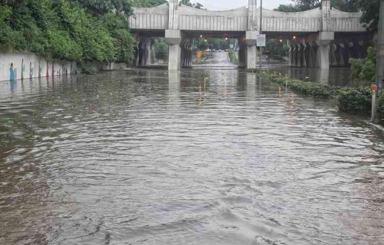 Heavy rains turn Delhi's roads, markets into flood zones