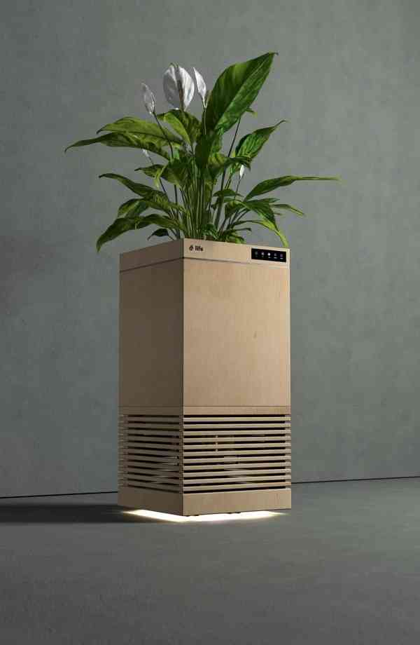 Indian scientists develop plant-based air purifier