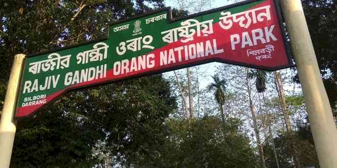 Congress fumes as Assam govt drops Rajiv Gandhi's name from national park