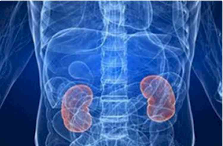 Kidney damage is silent killer in Covid patients, say USA's top docs