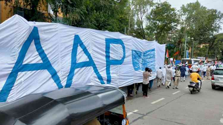 AAP says people of Punjab want development like Delhi