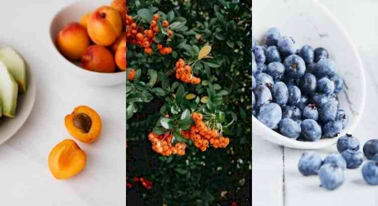 Herbs, nuts and fruits to enhance your daily diet