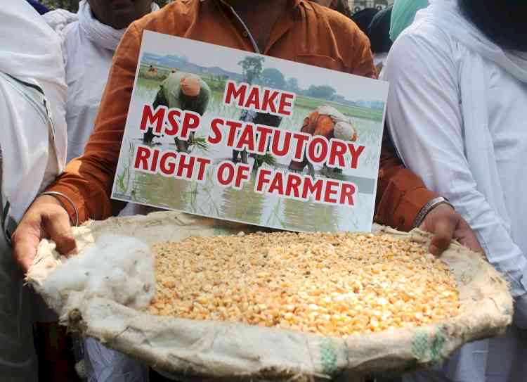 Cabinet nod to MSP hike for Rabi crops, rise highest for oilseeds, pulses