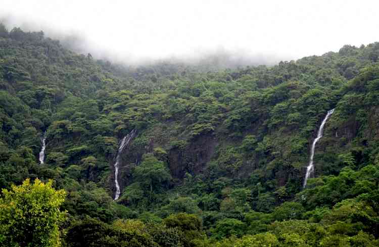 Bombay HC stays laying of permanent road to landmark Goa waterfall