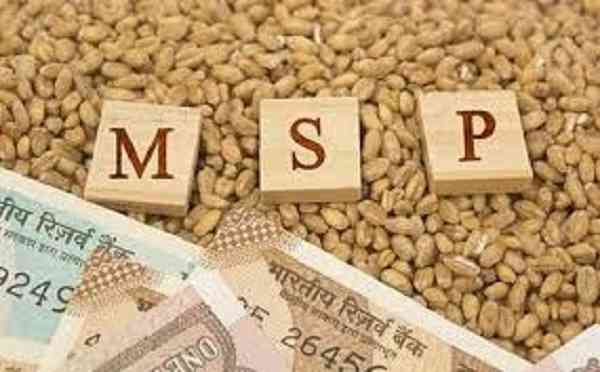 'Timely announcement of MSP for rabi can help farmers plan better'
