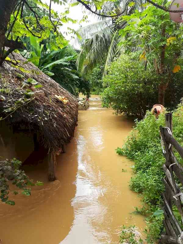 3 dead, over 19 lakh affected by heavy rains in Odisha