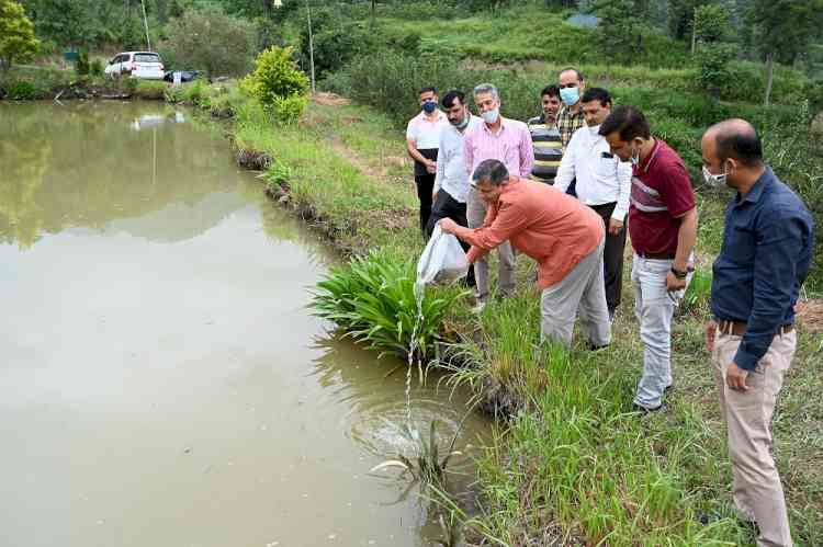 Nauni varsity to start fish farming