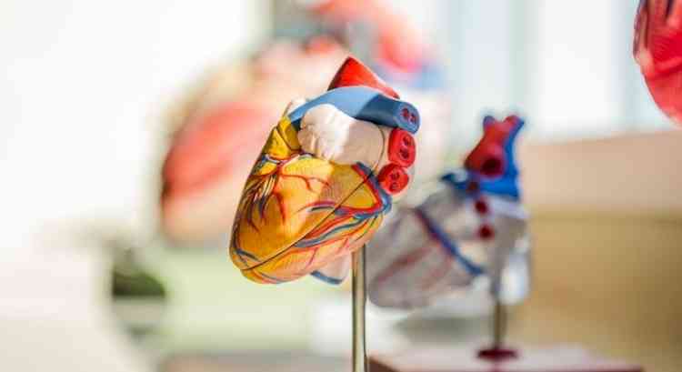 Has Covid pandemic contributed to rise in heart disease in India?