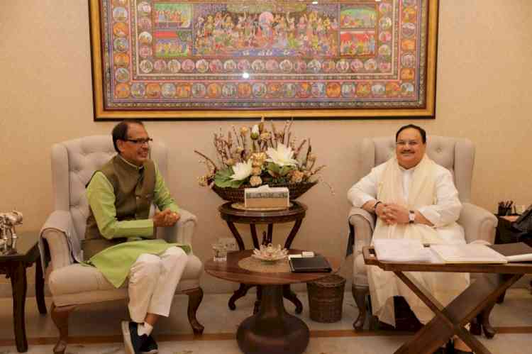 Chouhan meets Nadda, discusses MP governance and politics