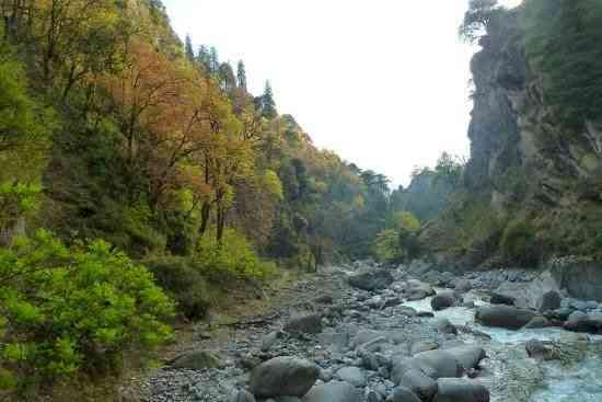 Damming headwaters will dilute opportunities of natives to seek invasion refugia: Reveals study