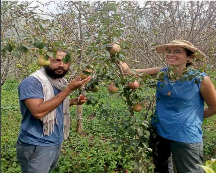 Himachal's climate-resilient agriculture attracts foreigners