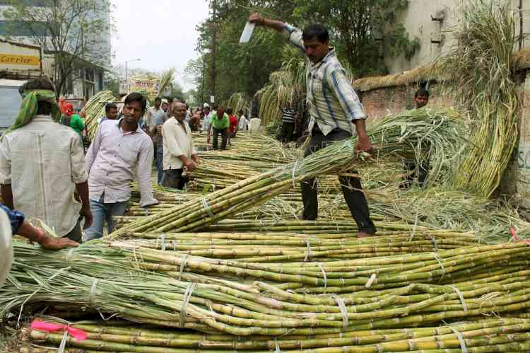 Yogi hikes purchase price of sugarcane by Rs 25 per quintal