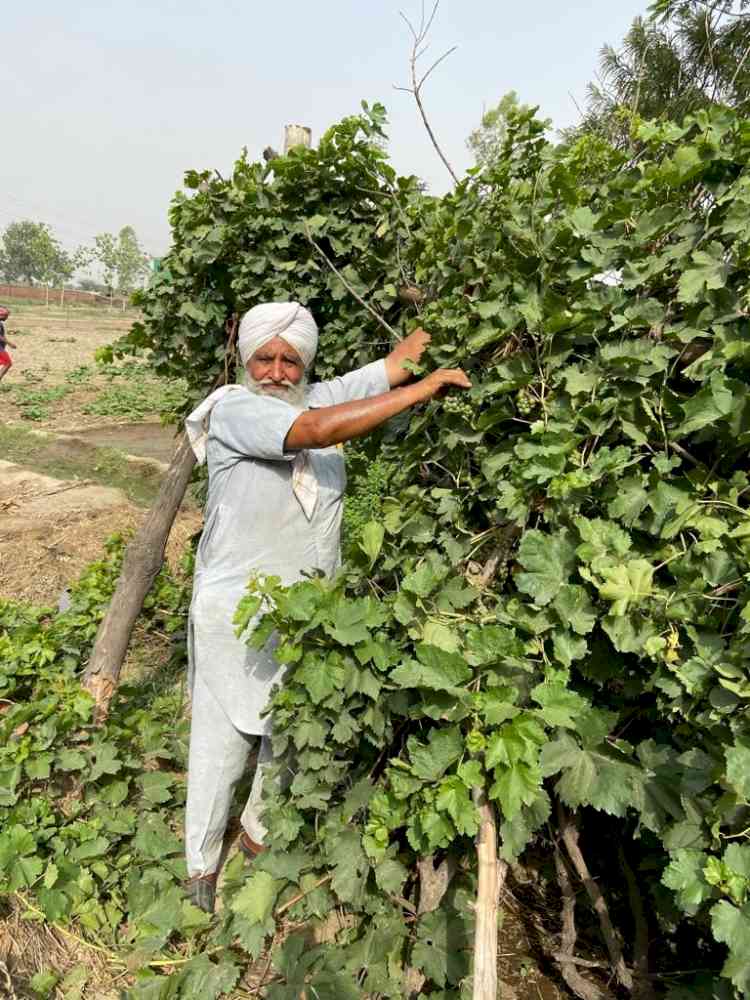 Progressive farmers show way in stubble management