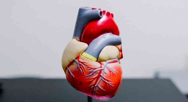 4 myths about heart failure