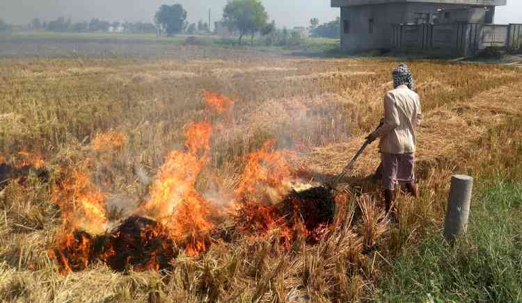 Stubble burning: Farmers can generate Hydrogen for EVs
