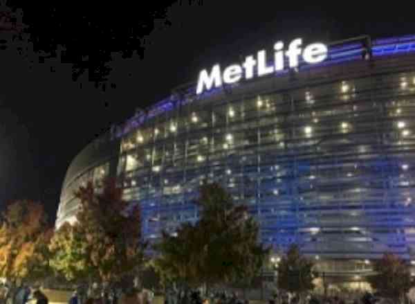 MetLife to buy out Elpro and IGE's stakes in PNB MetLife