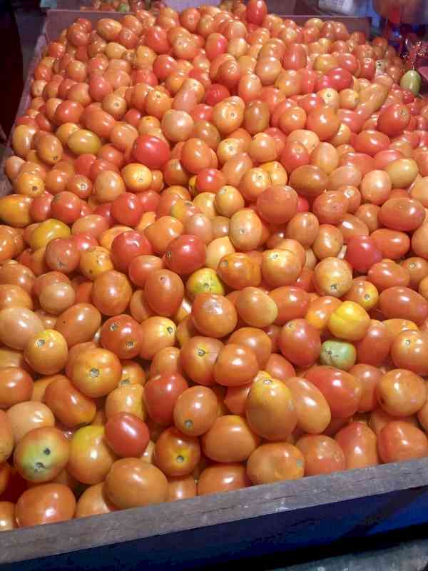 Tomato prices shoot up from Rs 10 to Rs 60 in Bengaluru