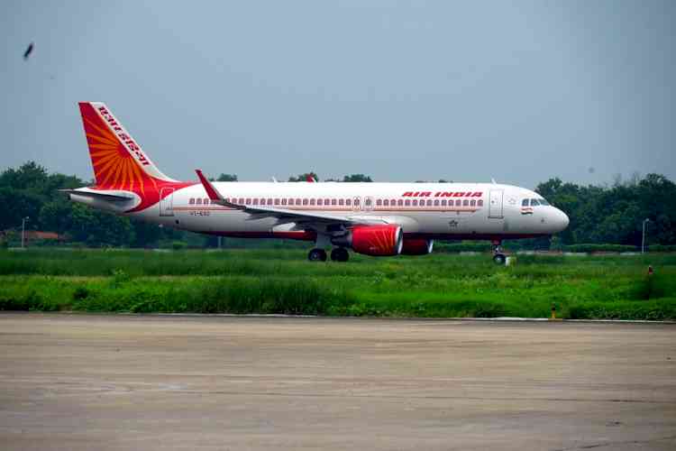 Over dozen PSUs on the block after Air India privatisation