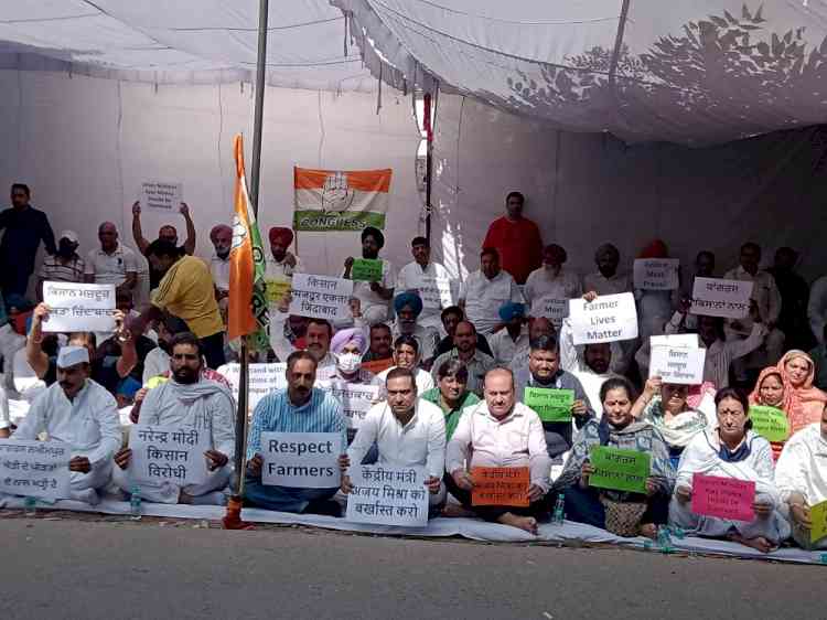 लखीमपुर खीरी घटना: जिला कांग्रेस पदाधिकारियों व कार्यकर्ताओं ने रखा मौनव्रत