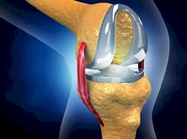 Indian scientists develop models to help improve hip, knee implants