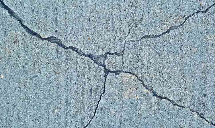 Moderate earthquake in Assam, no damage reported