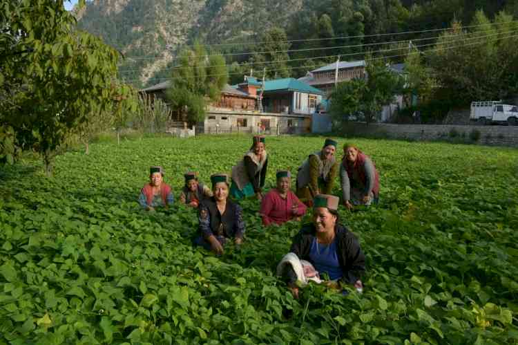 Himachal women become agents for climate resilient farming