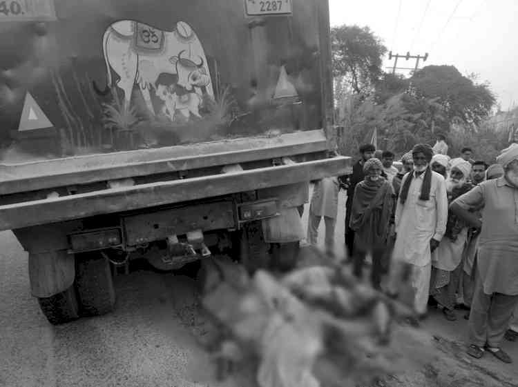 Speeding truck kills 3 women farmers at Tikri border