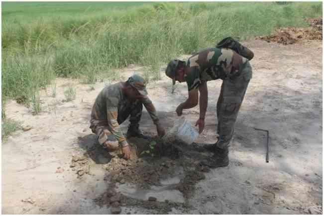 Vajra Corps plants more than 1 lac trees tree plantation drive across Punjab