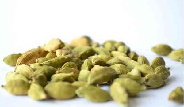 Cardamom trade goes hi-tech, launches cloud based e-auction