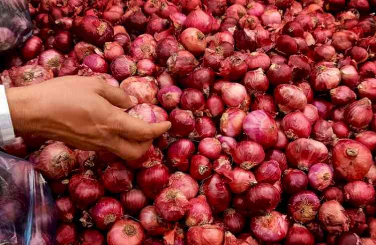 Prices of onion cheaper than last year, says Centre