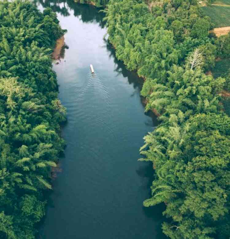 'Healthy rivers, fish and fishers' theme for India Rivers Week 2021