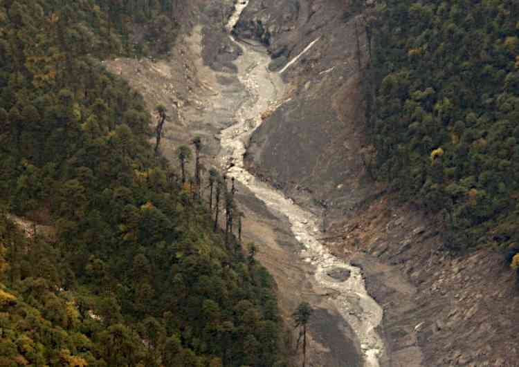 Efforts on to clean Arunachal river after thousands of fish die as water turns black