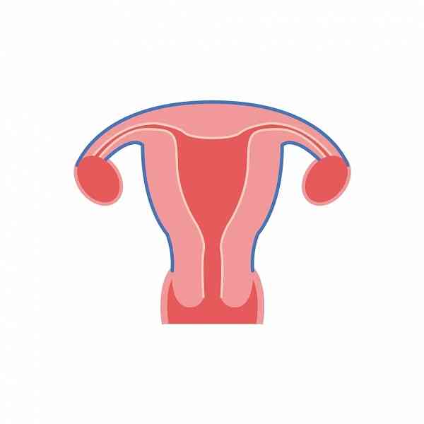 222 fibroids cleared from uterus of 34-year-old woman