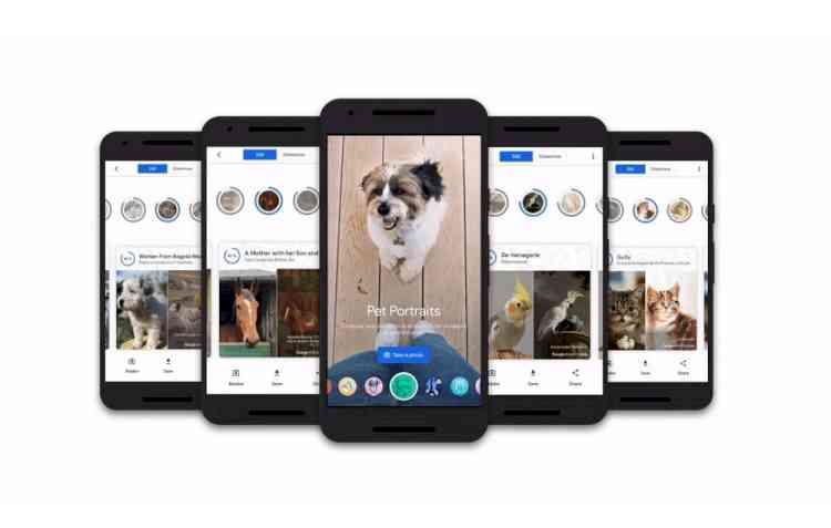 Google's 'Pet Portraits' feature to find art lookalikes for your pet