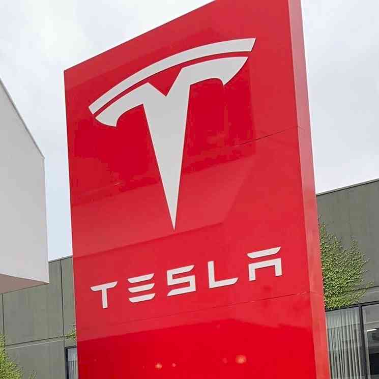 Tesla share price falls after Musk's Twitter poll: Report