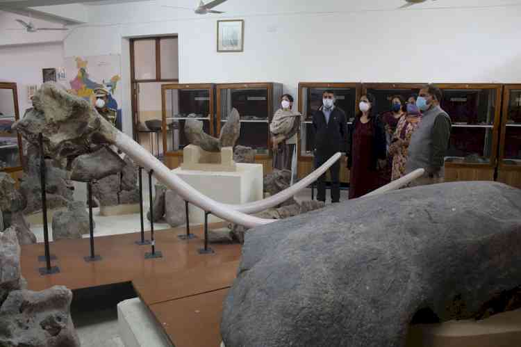 PU VC visited Museums of various departments