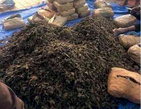 Ganja worth Rs 1 cr seized near Hyderabad