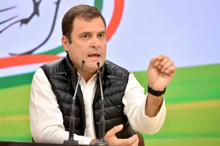 'Falsehood is in power', Rahul attacks govt on National Press Day