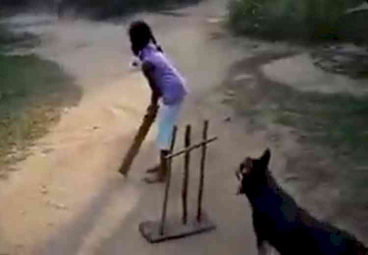 Tendulkar impressed by dog's 'sharp ball catching skills', posts video on social media