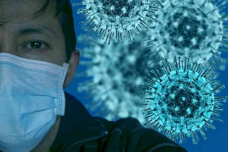 Exposure to harmless coronaviruses boosts SARS-CoV-2 immunity: Study