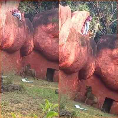 Man moves closer to lion moat area at Hyderabad Zoo