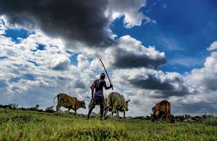 Farmers' association asks states to undertake agri-market reforms