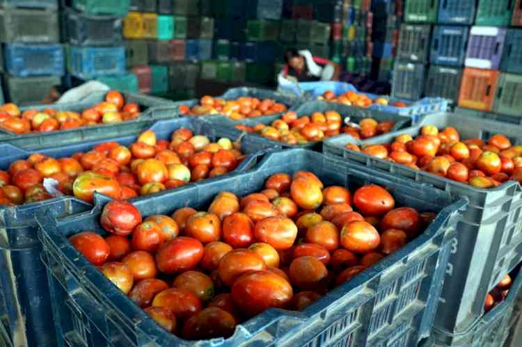 Tomato to fuel: Inflation batters India's middle class