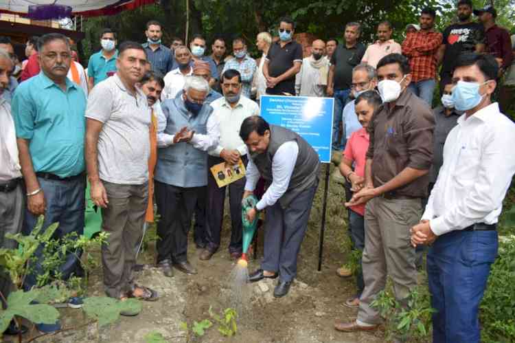Himachal to promote cinnamon cultivation in 5 districts