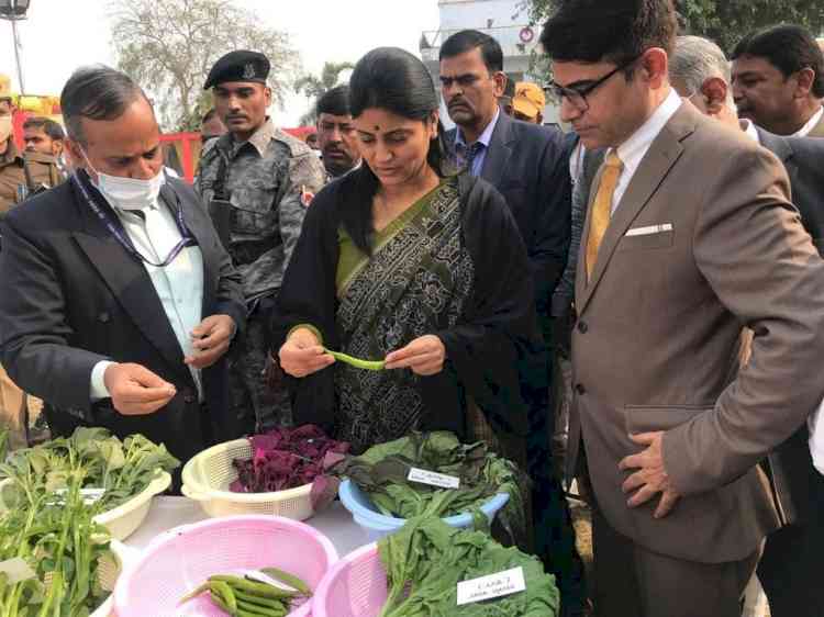 India aiming at $43 billion agri-products' exports: Govt