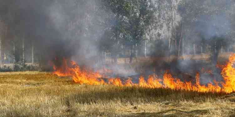 Stubble burning decriminalised under Air Quality Commission Act: Bhupendra Yadav